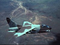 CEH50482.JPG