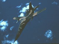 CEH50464.JPG