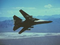 CEH50454.JPG