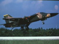 CEH50451.JPG