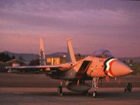 CEH50377.JPG
