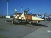 CEH50342.JPG