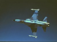 CEH50338.JPG