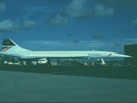 CEH50263.JPG