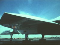 CEH50259.JPG