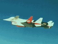 CEH50243.JPG