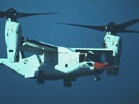 CEH50235.JPG
