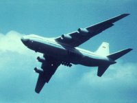 CEH50193.JPG