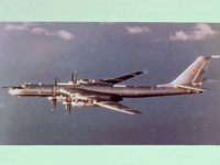 CEH50186.JPG