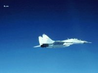 CEH50148.JPG