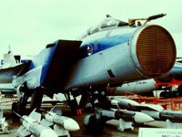 CEH50138.JPG