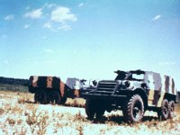 CEG50010.JPG