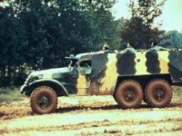 CEG50009.JPG