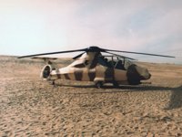 CEF50183.JPG