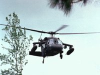 CEF50125.JPG