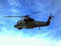 CEF50102.JPG