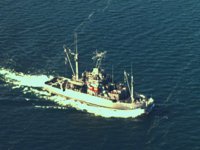 CEE50467.JPG