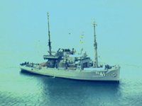 CEE50464.JPG