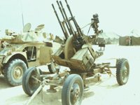 CER50007.JPG