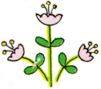 CGD50071.JPG