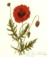 CGC50888.JPG