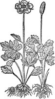 CGC50701.TIF