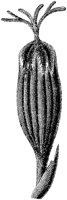 CGC50458.TIF