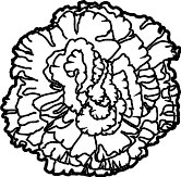 CGC00097.WMF