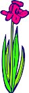 CGC00024.WMF