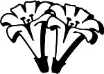 CGC00002.WMF