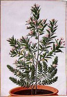 CGB50182.JPG