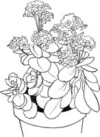 CGB50169.TIF
