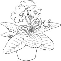 CGB50168.TIF