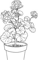 CGB50167.TIF