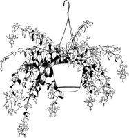 CGB50166.TIF