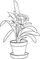 CGB50165.TIF