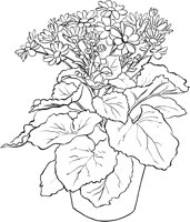 CGB50164.TIF