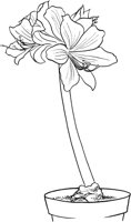CGB50163.TIF