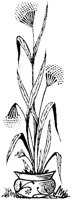 CGB50143.TIF