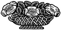 CGB50142.TIF