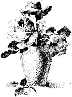 CGB50134.TIF