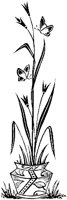 CGB50098.TIF