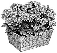 CGB50092.TIF