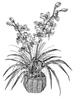 CGB50088.TIF