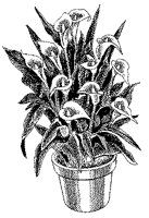 CGB50087.TIF