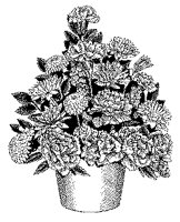 CGB50086.TIF