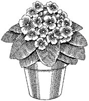 CGB50085.TIF