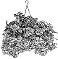CGB50083.TIF
