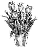 CGB50081.TIF