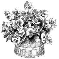 CGB50079.TIF